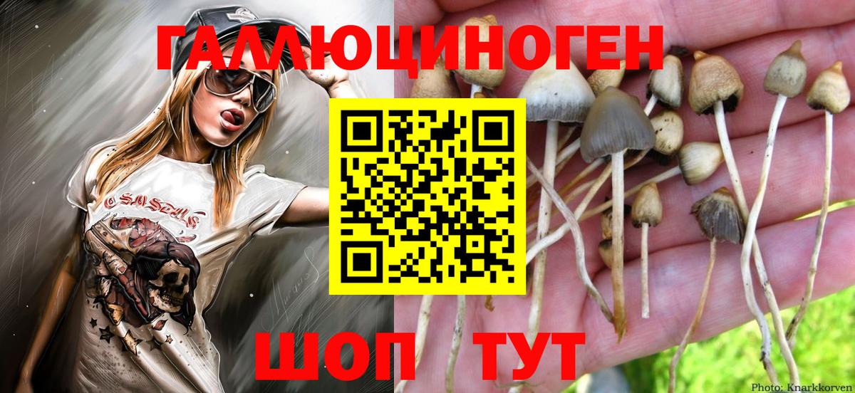 Бор  купить  цена  Псилоцибиновые грибы MAGIC MUSHROOMS  Вход с VPN  Псилоцибиновые грибы Psilocybe 